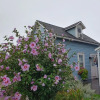 Отель The Blue Dory Inn, фото 37