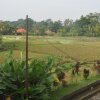 Отель Candra Asri Bungalows в Убуде