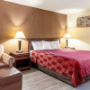Отель Econo Lodge Acworth, фото 25