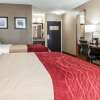 Отель Comfort Inn and Suites, фото 18