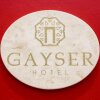 Отель Gayser, фото 12