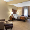 Отель Comfort Inn & Suites Suwanee - Sugarloaf, фото 7