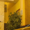 Отель Kaiyue Boutique Inn, фото 2