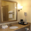 Отель Holiday Inn Express Hotel & Suites Niles, an IHG Hotel, фото 10