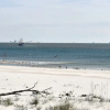 Отель Island Time Ii - Private Pool - Pet Friendly! Only 100 Feet From The Gulf - Built With Amazing Views, фото 20