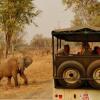 Отель Kiboko Safaris Camp, фото 10