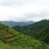 Отель Zhen Chen Resort, фото 15