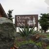 Отель Olympic View Inn, фото 5