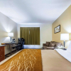 Отель Comfort Inn East, фото 27
