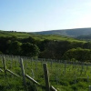 Отель Holmfirth Vineyard, фото 16
