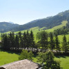 Отель Wimmerhof, фото 9