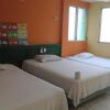 Отель Green Monkey - Hostel, фото 3