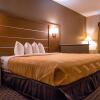 Отель Quality Inn & Suites near Six Flags - Austell, фото 33