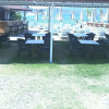 Отель Maskot Beach Tatil Evi, фото 6