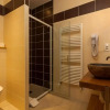 Отель appartement des Alpes, фото 9