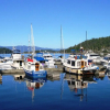 Отель John Henry's Marina and Resort, фото 6