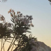 Отель Castello Panorama, фото 5