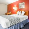 Отель Econo Lodge, фото 30