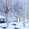 Отель Itamuro Onsen Daikokuya, фото 17