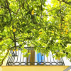 Отель Dépendance b&b La Casetta, фото 18