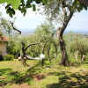 Отель Villa Fiorita, Monteggiori, фото 8