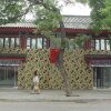 Отель Tang Yue в Пекине