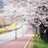 Отель Cheongju Crapas Pension, фото 1