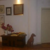 Отель La Casa di Lilì, фото 11