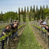 Отель Agriturismo Bio 4 Stagioni, фото 21
