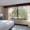 Отель Embassy Suites Dallas-Love Field, фото 14