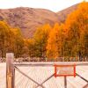 Отель 318 Car Camping (Kangding Xinduqiao), фото 2