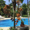 Отель Playa Grande Lodge, фото 21