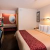 Отель Red Roof Inn San Antonio - Airport, фото 5