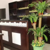 Отель Phuong Hoang Hotel, фото 26