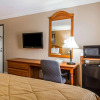 Отель Quality Inn & Suites, фото 5