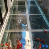 Отель Changting Traveler Return Inn, фото 4
