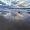 Отель Taid's Retreat Silversands Cove Beach Lossiemouth, фото 29