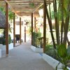 Отель Maya Tulipanes Palenque, фото 18