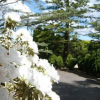 Отель Tantarra Guest House, фото 22