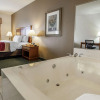 Отель Comfort Inn & Suites Davenport - Quad Cities, фото 22