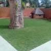 Отель Safari Villa, фото 18