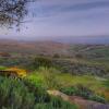 Отель Sea Of Galilee Site, фото 17