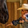 Отель El Bronco Working Ranch, фото 23