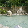 Отель Hoya Hot Springs Hotel, фото 10