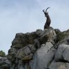 Отель El Refugio de Juanar, фото 19