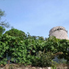 Отель Valverde Guest House, фото 15