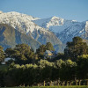 Отель Cubby House Stay - Kaikoura, фото 20