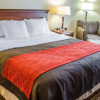 Отель Comfort Inn Mechanicsburg - Harrisburg South, фото 7