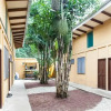 Отель Nosara Beach Hostel, фото 13