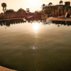 Отель The Pushkar Bagh Resort, фото 15